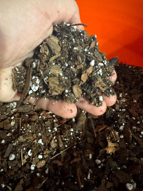 Aroid Potting Mix - Chunky Well Draining