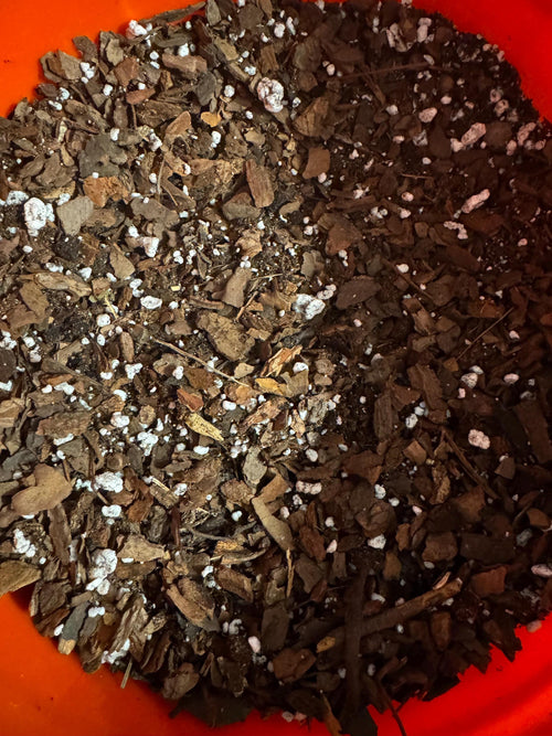 Aroid Potting Mix - Chunky Well Draining
