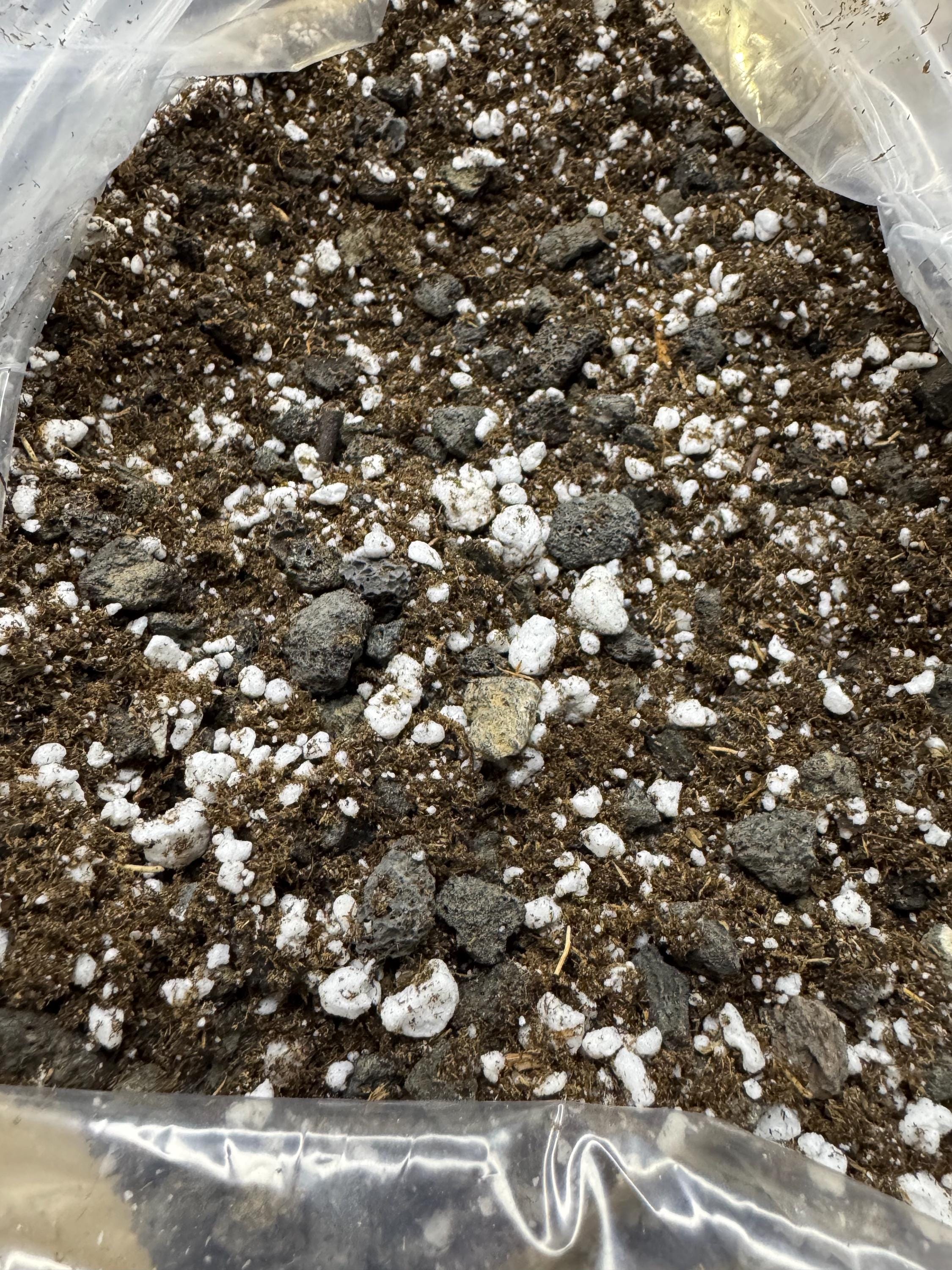 Succulent & Cactus Potting Mix | Lava Rock • Perlite • Peat/Coco Coir