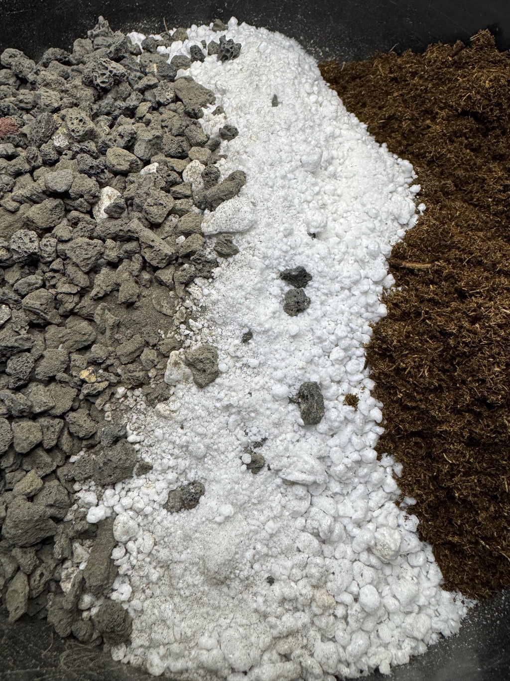 Succulent & Cactus Potting Mix | Lava Rock • Perlite • Peat/Coco Coir