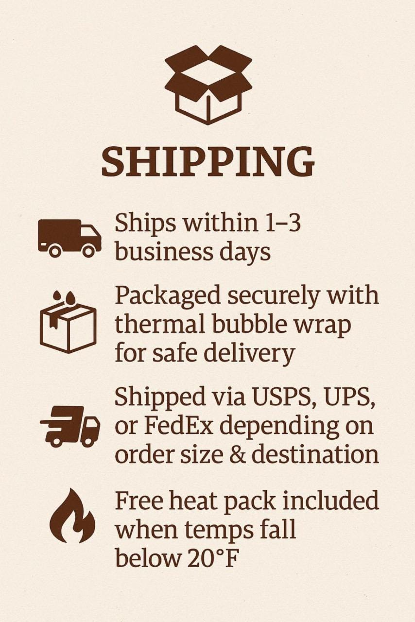 Chlorophytum comosum ‘Bonnie’ – Curly Spider Plant Baby – 2.5” Nursery Pot